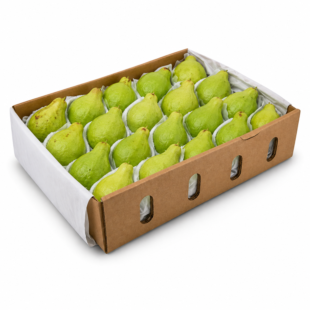 Guava Egypt in a Box