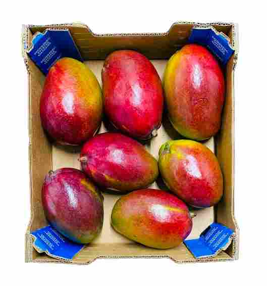 Mango Tomy