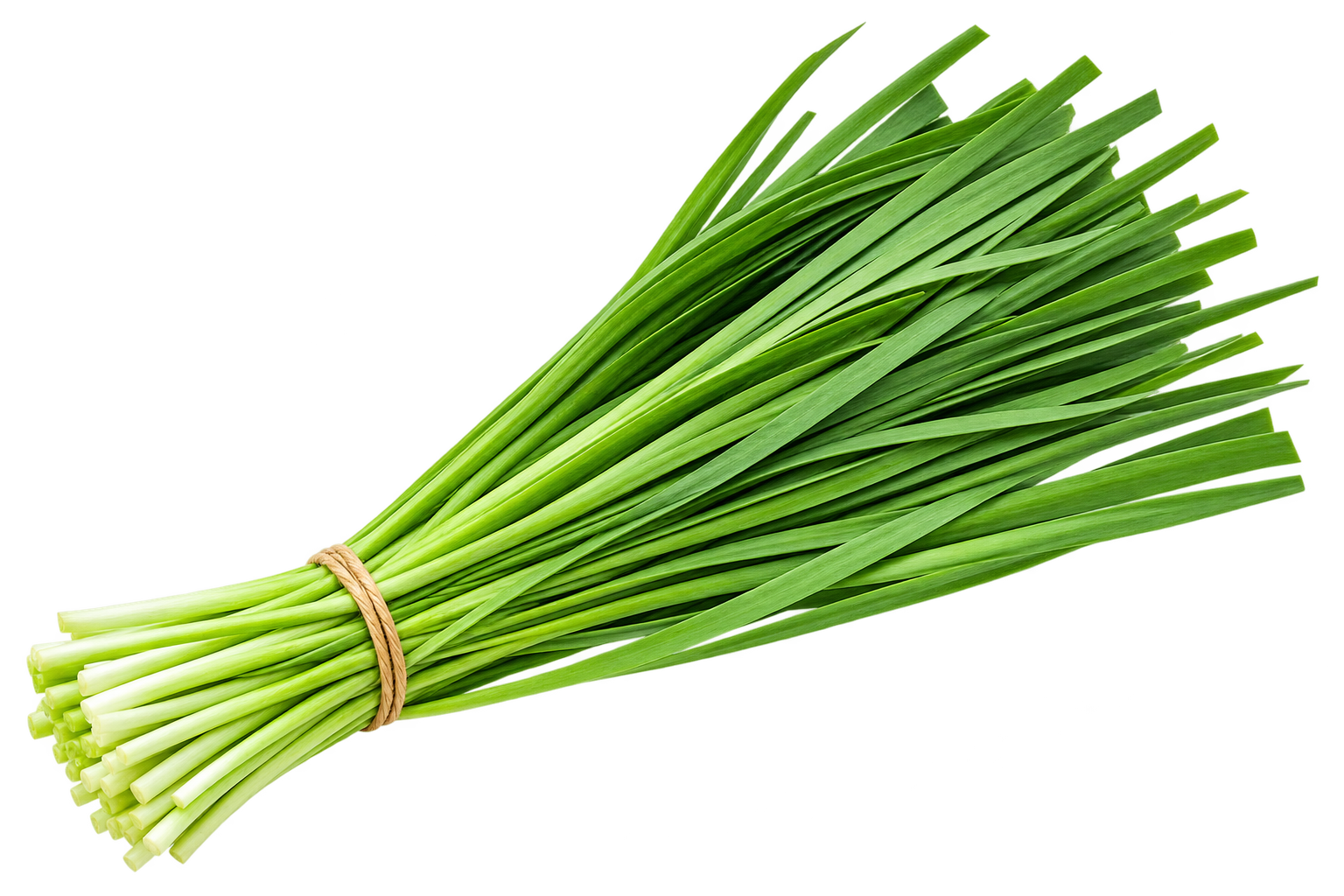 Fresh Chives