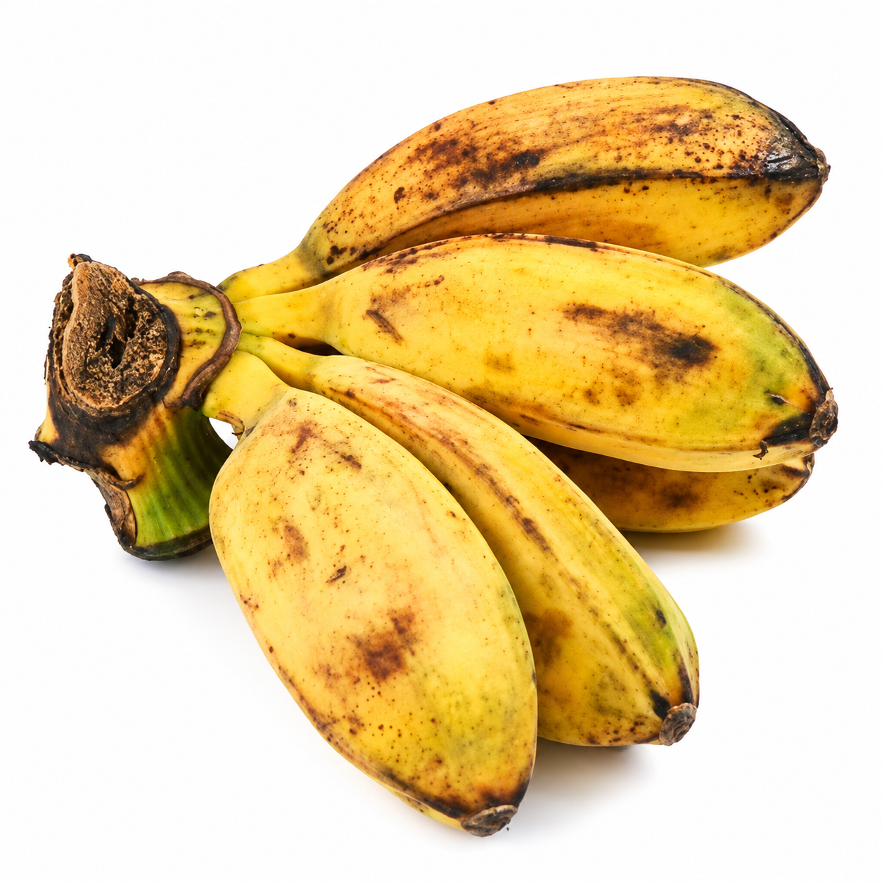 Bananas Saba