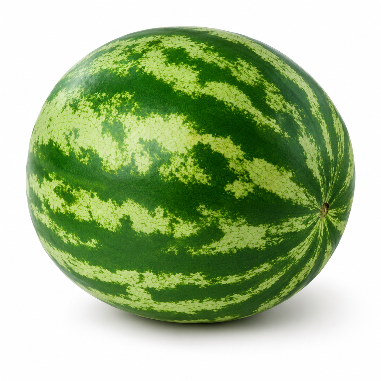 Organic Watermelon Local