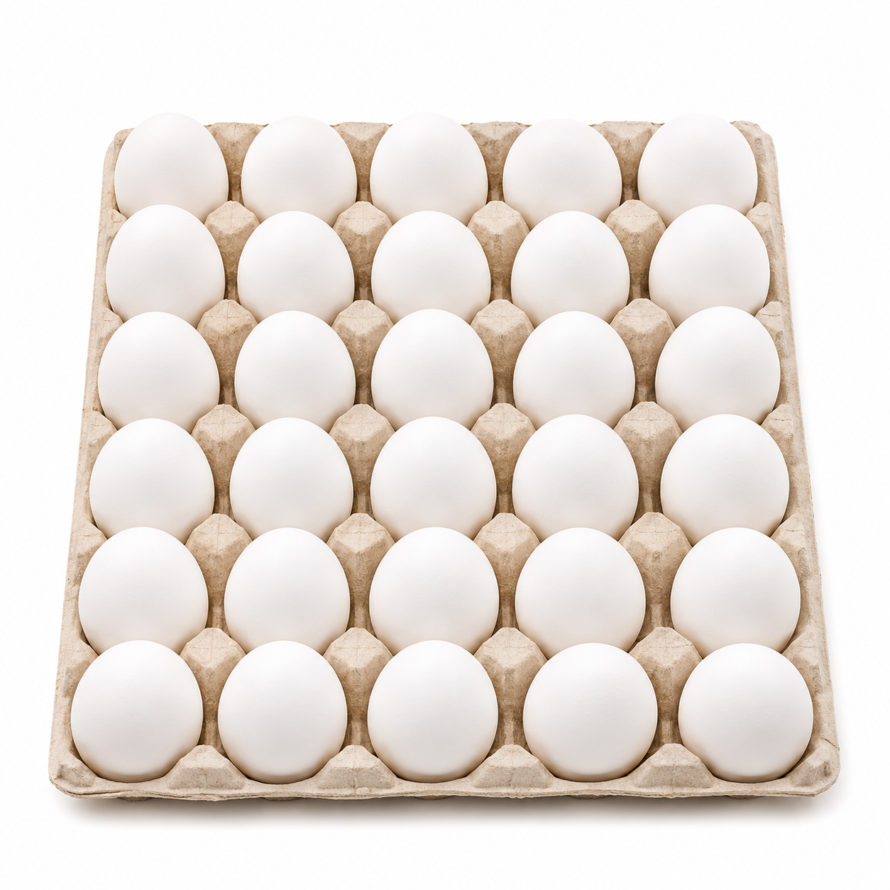 Fresh White Chicken Eggs Turkey