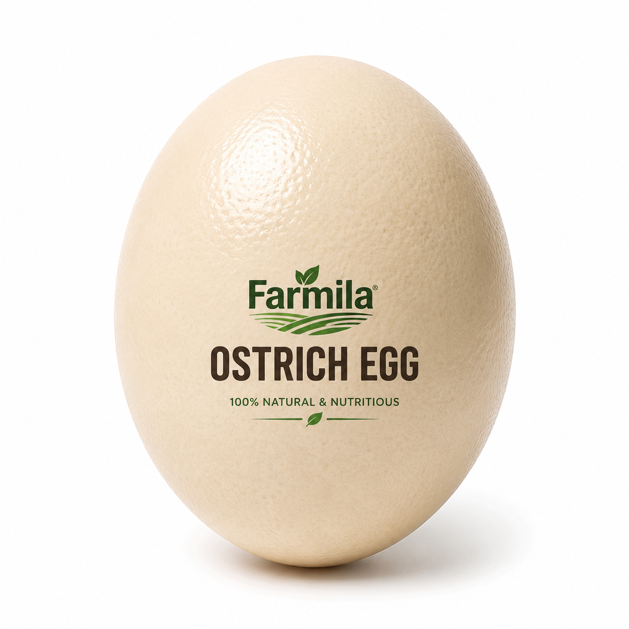 Farmila Ostrich Egg