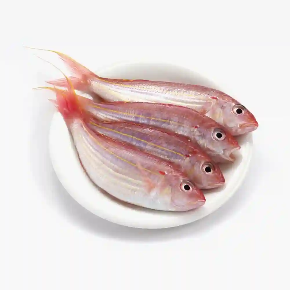 fresh sultan ibrahim fish