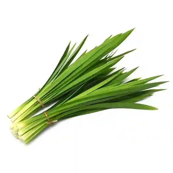 Fresh Pandan Leaves Thailand