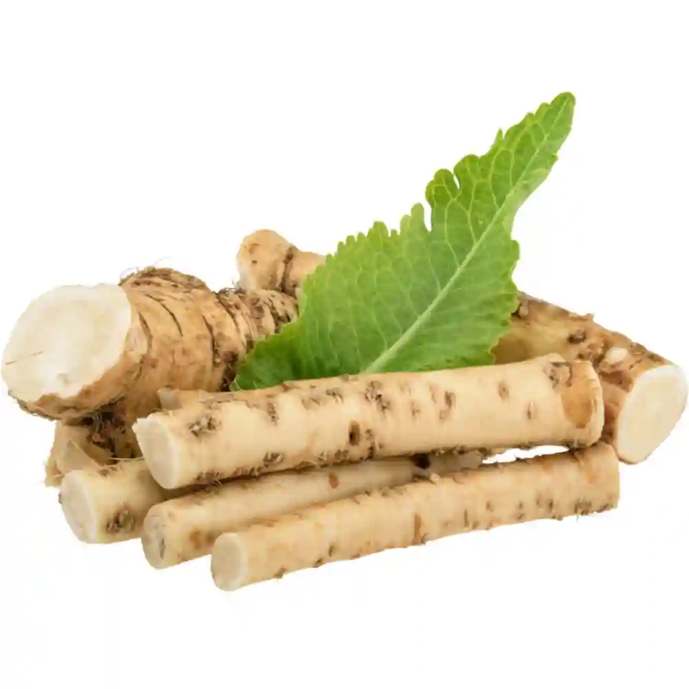 Horseradish Holland