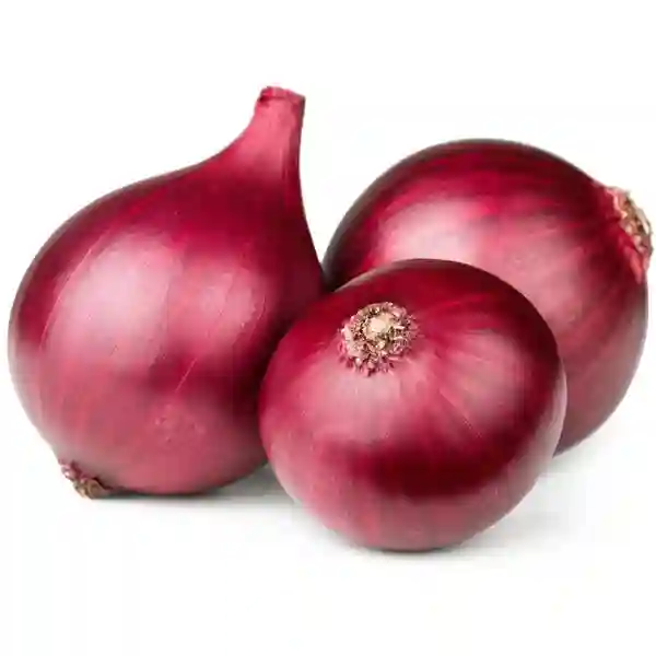 Bio Land Organic Red Onions