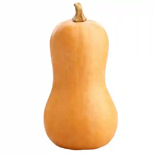 Organic Butternut Squash Spain