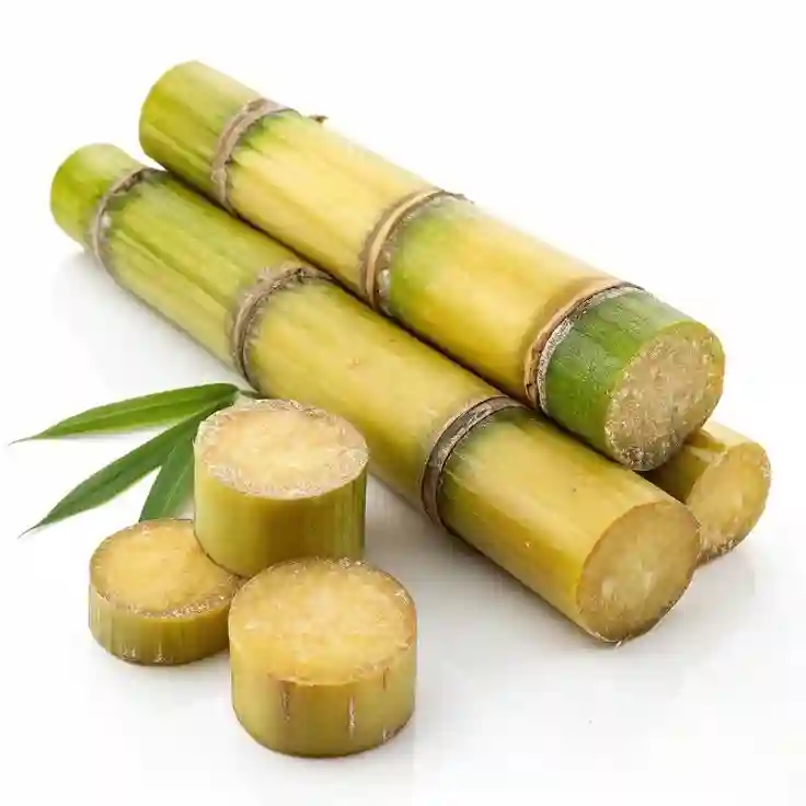 Sugarcane