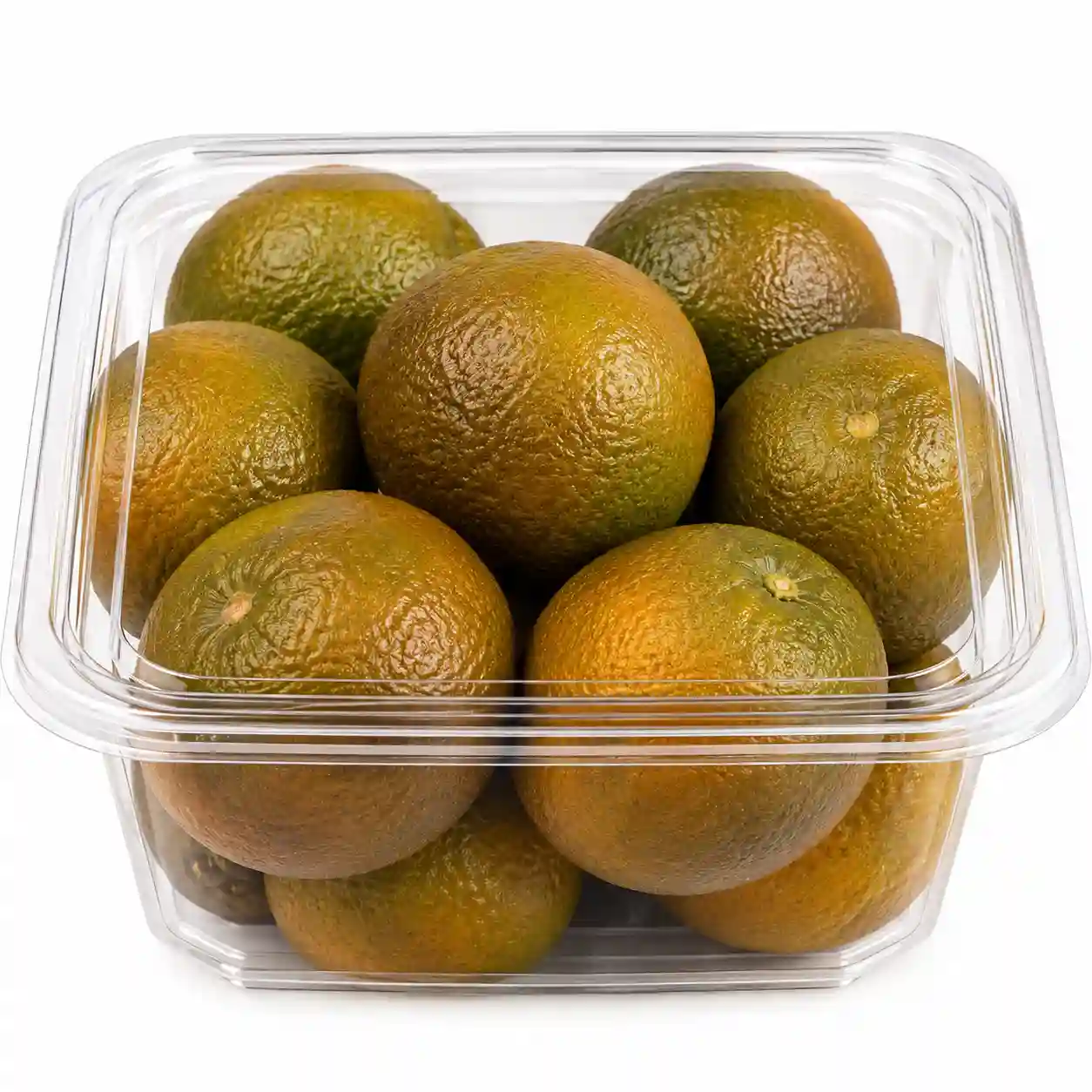 BOG- Chocolate Orange Fresh - Bag of Green