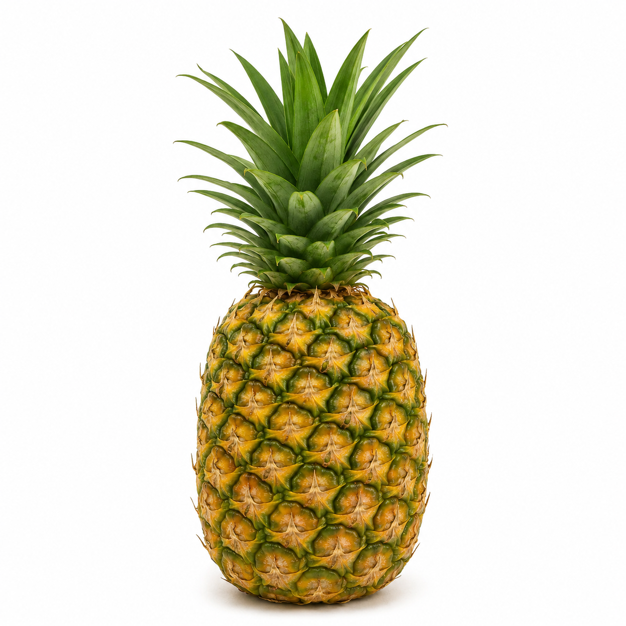 Pineapple Philippines