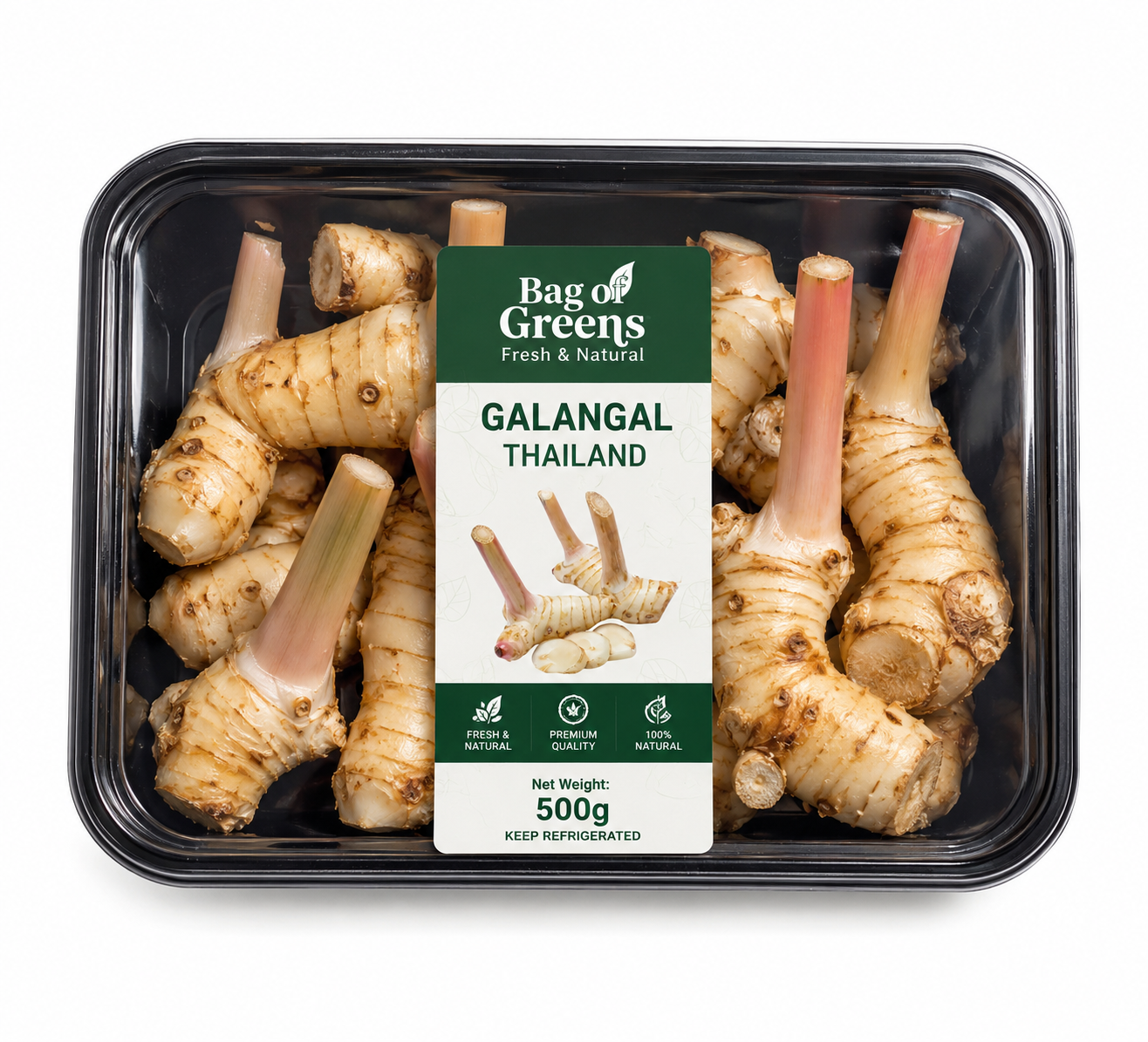 Galangal Thailand