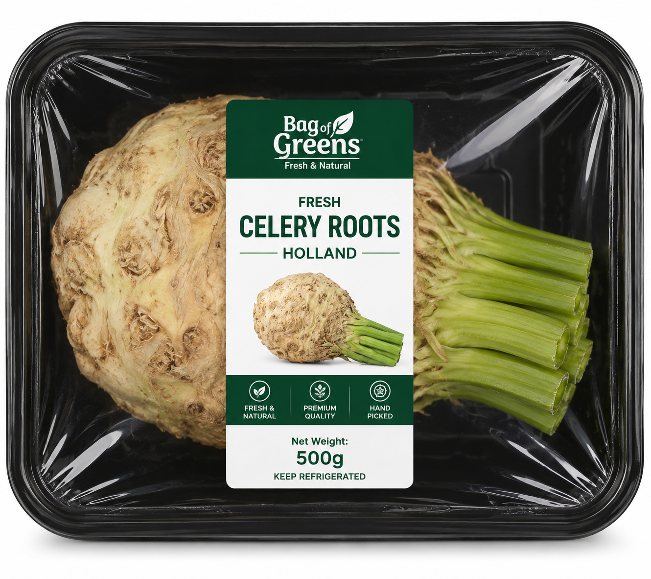 Celery Roots Holland
