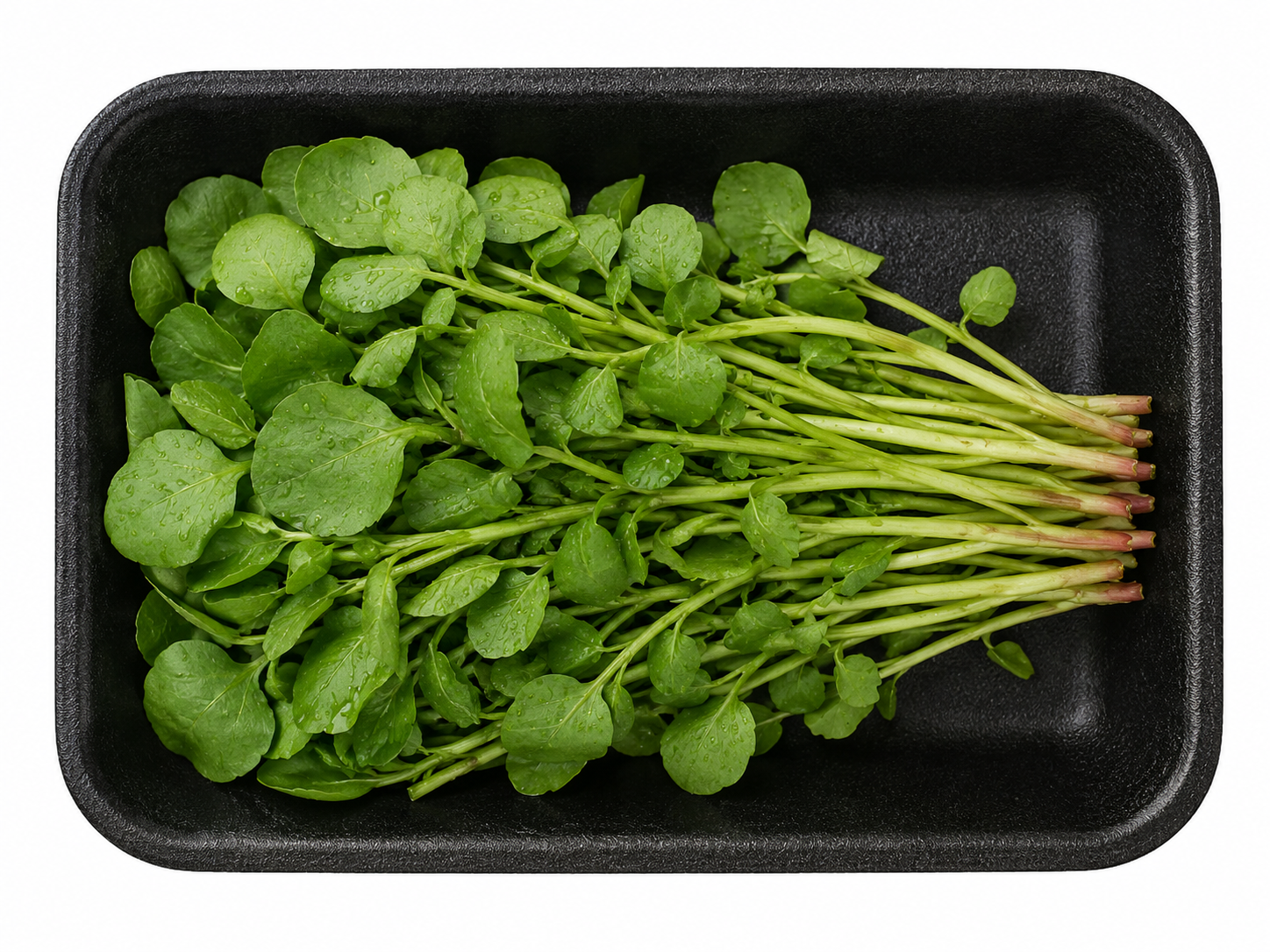 Watercress