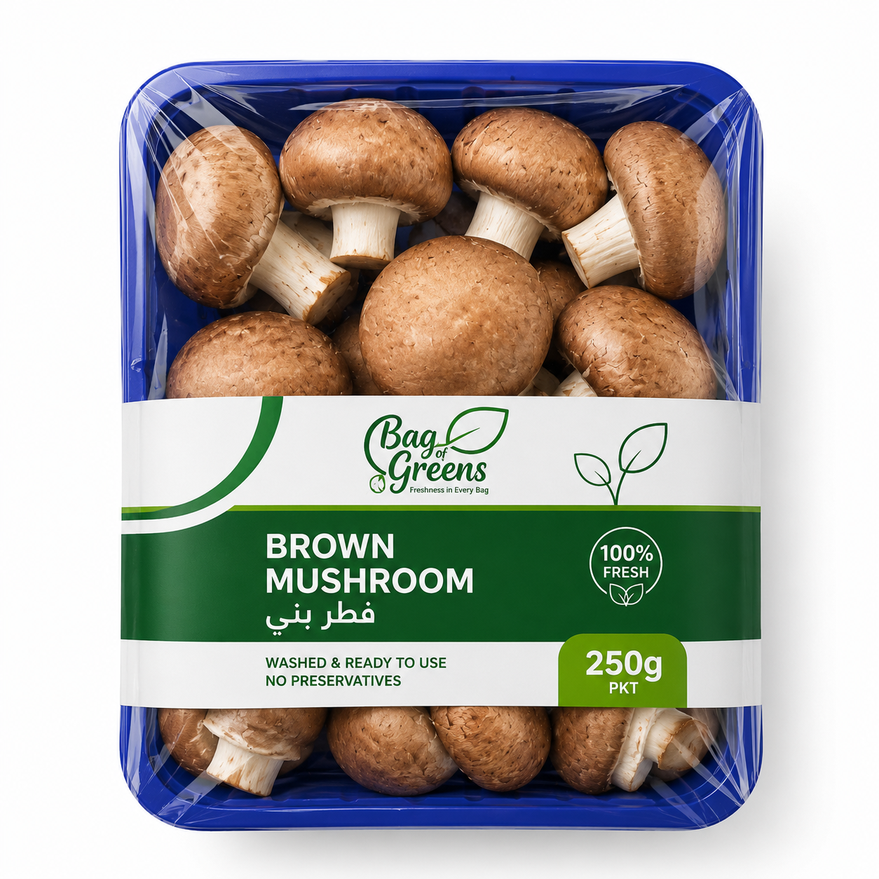 Brown Mushroom
