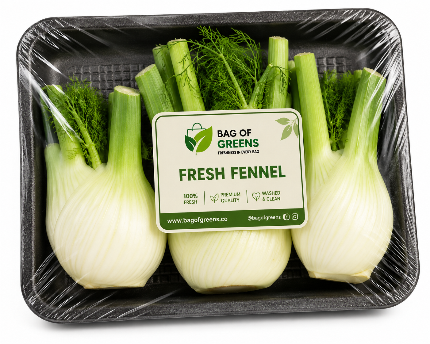 Fennel