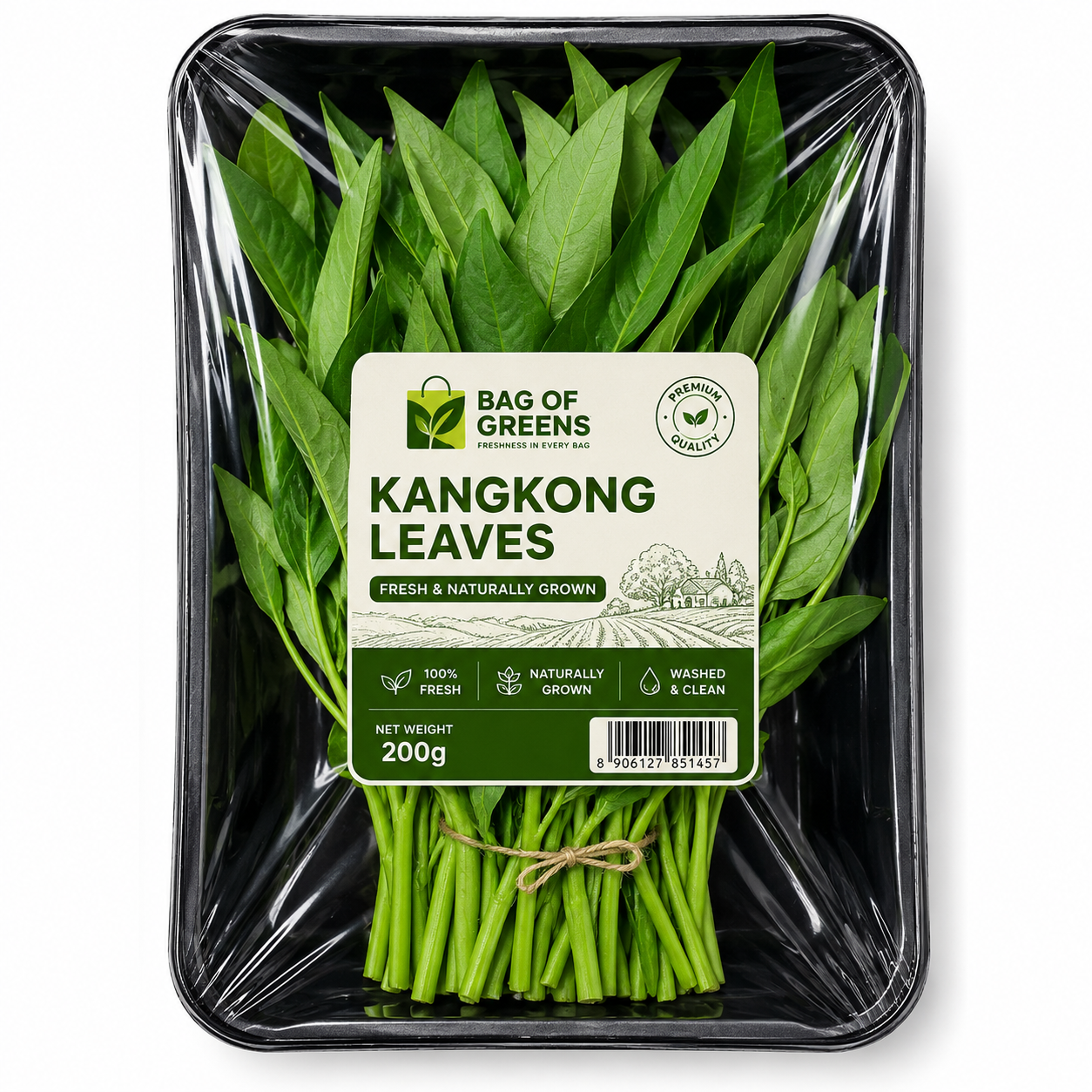 Kangkong Leaves