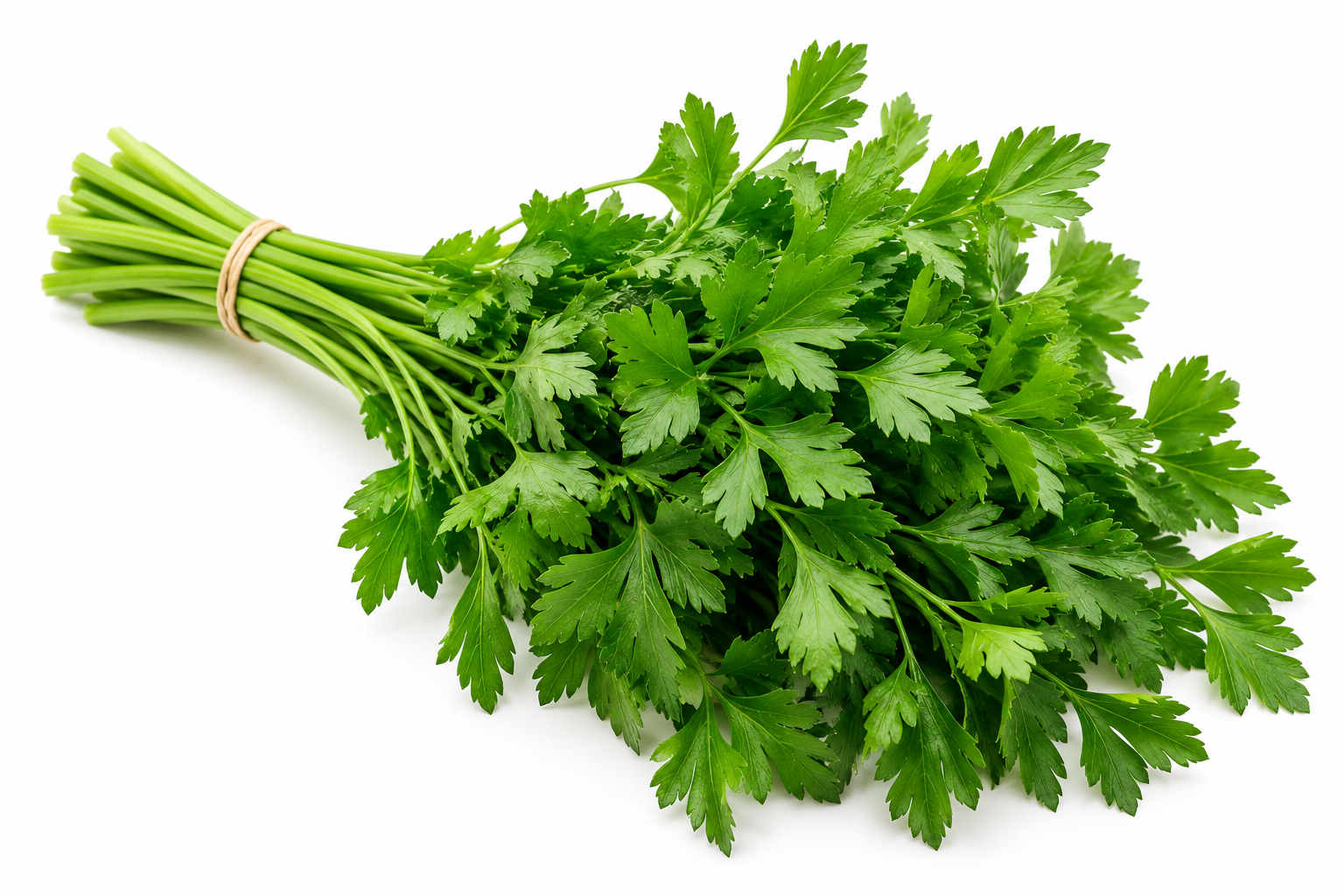 Fresh Parsely