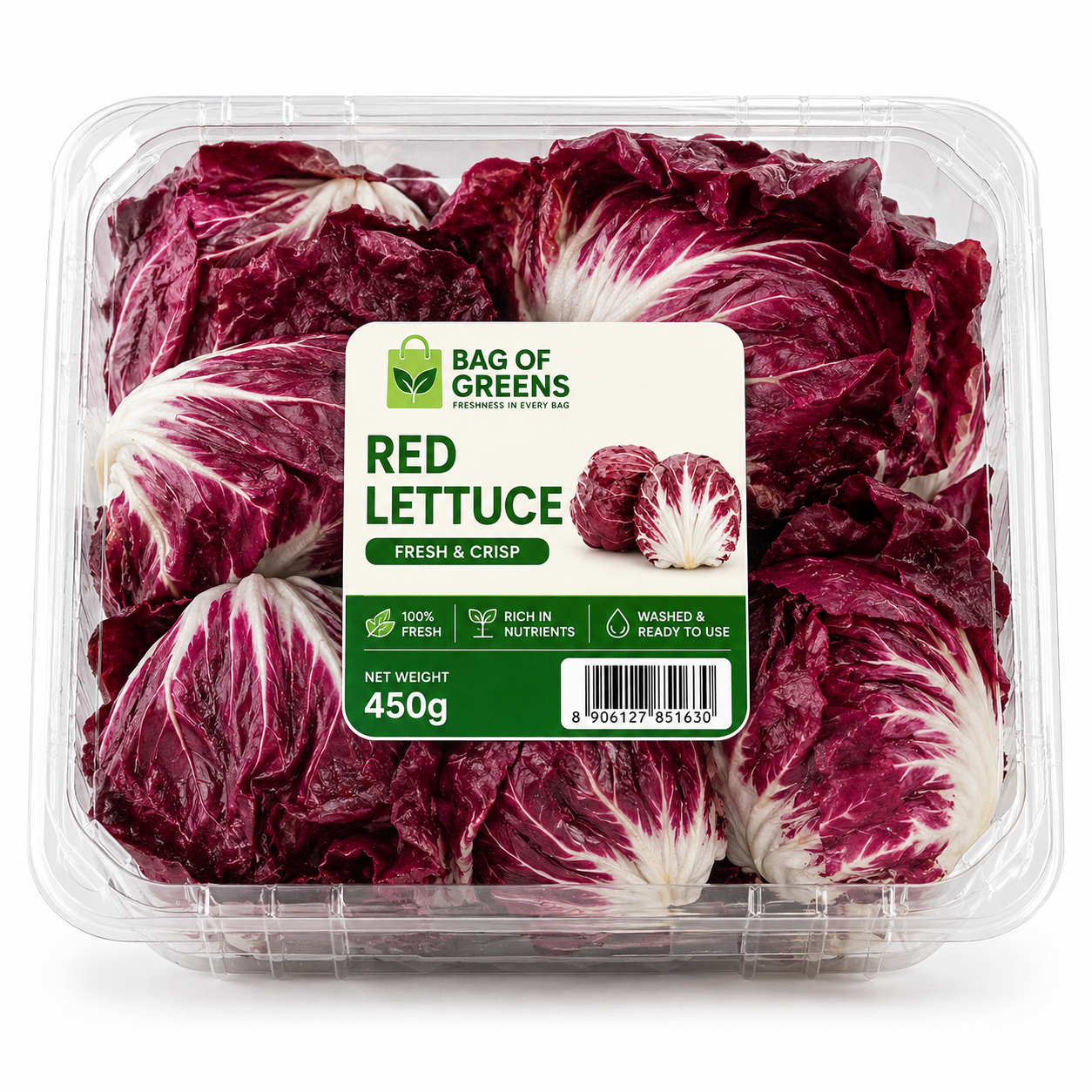 Red Lettuce