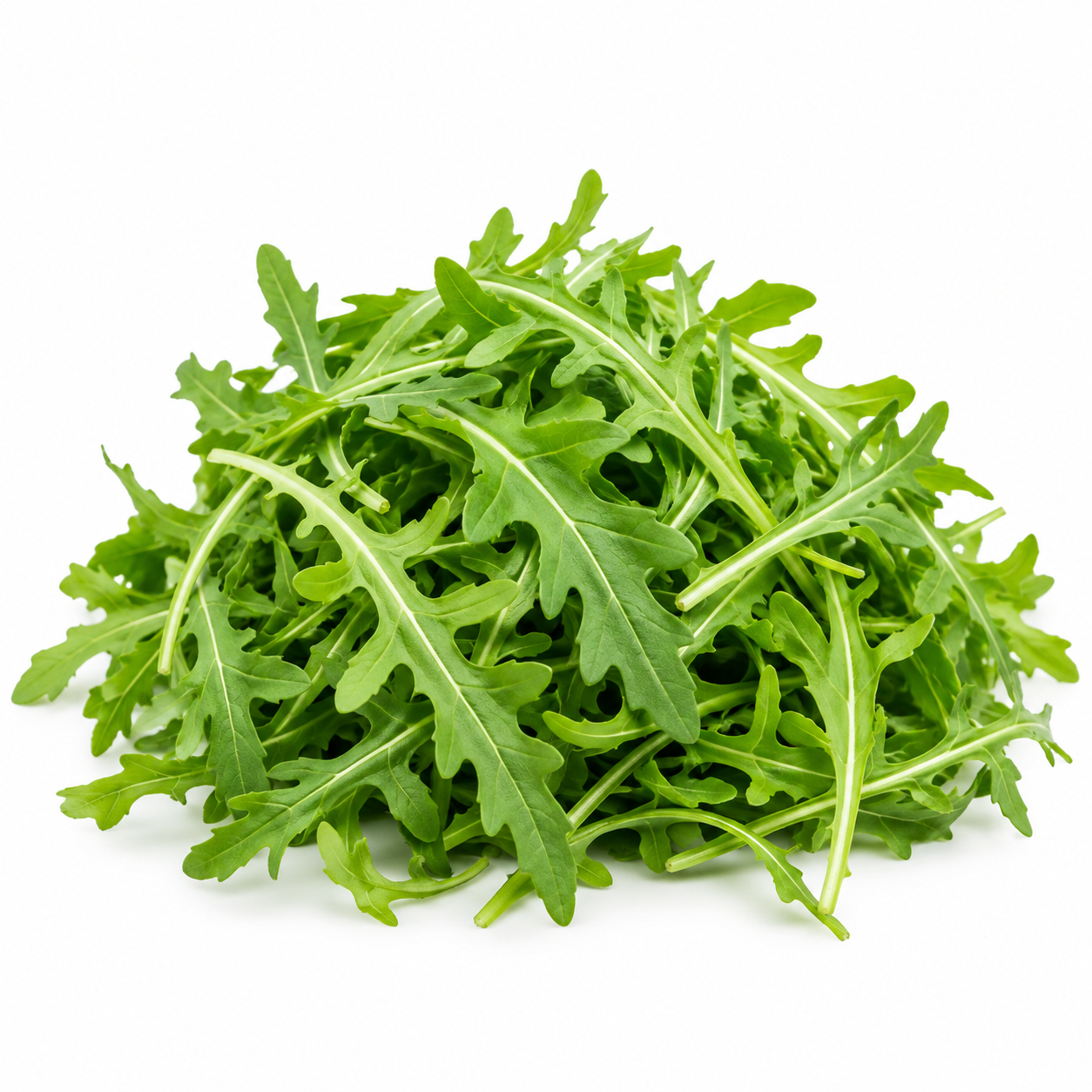 Rocket Leaves