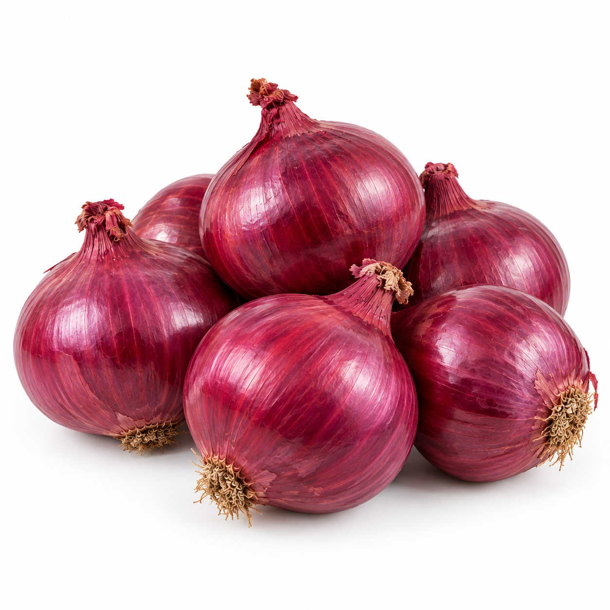Onion Red Egypt