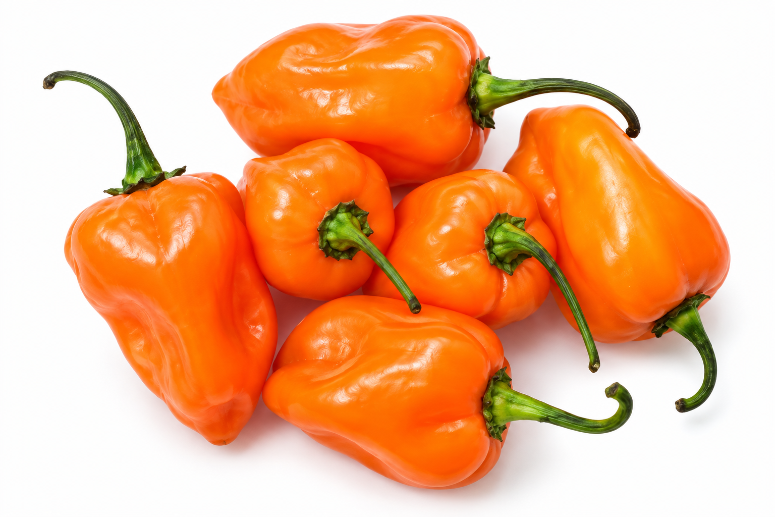 FRESH Orange Habanero Chilies