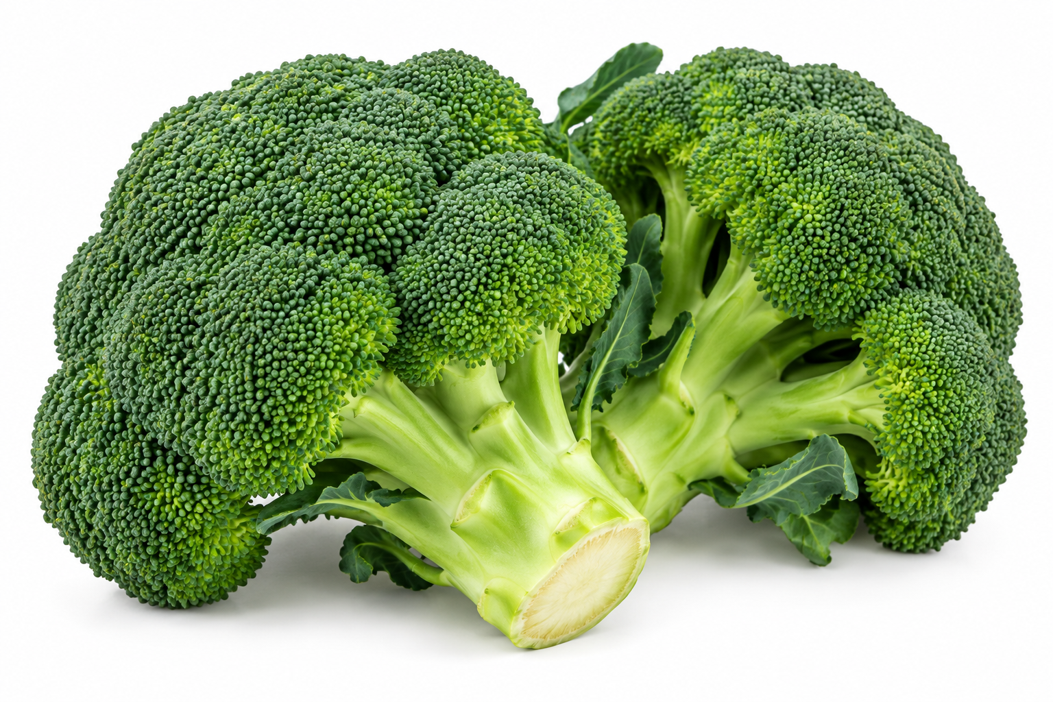 Broccoli