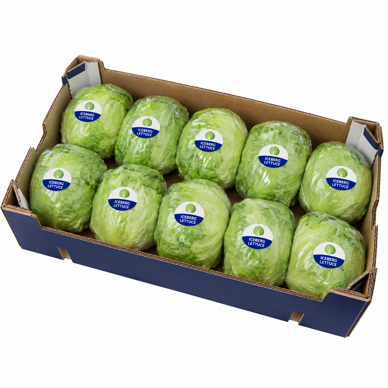 Iceberg Lettuce