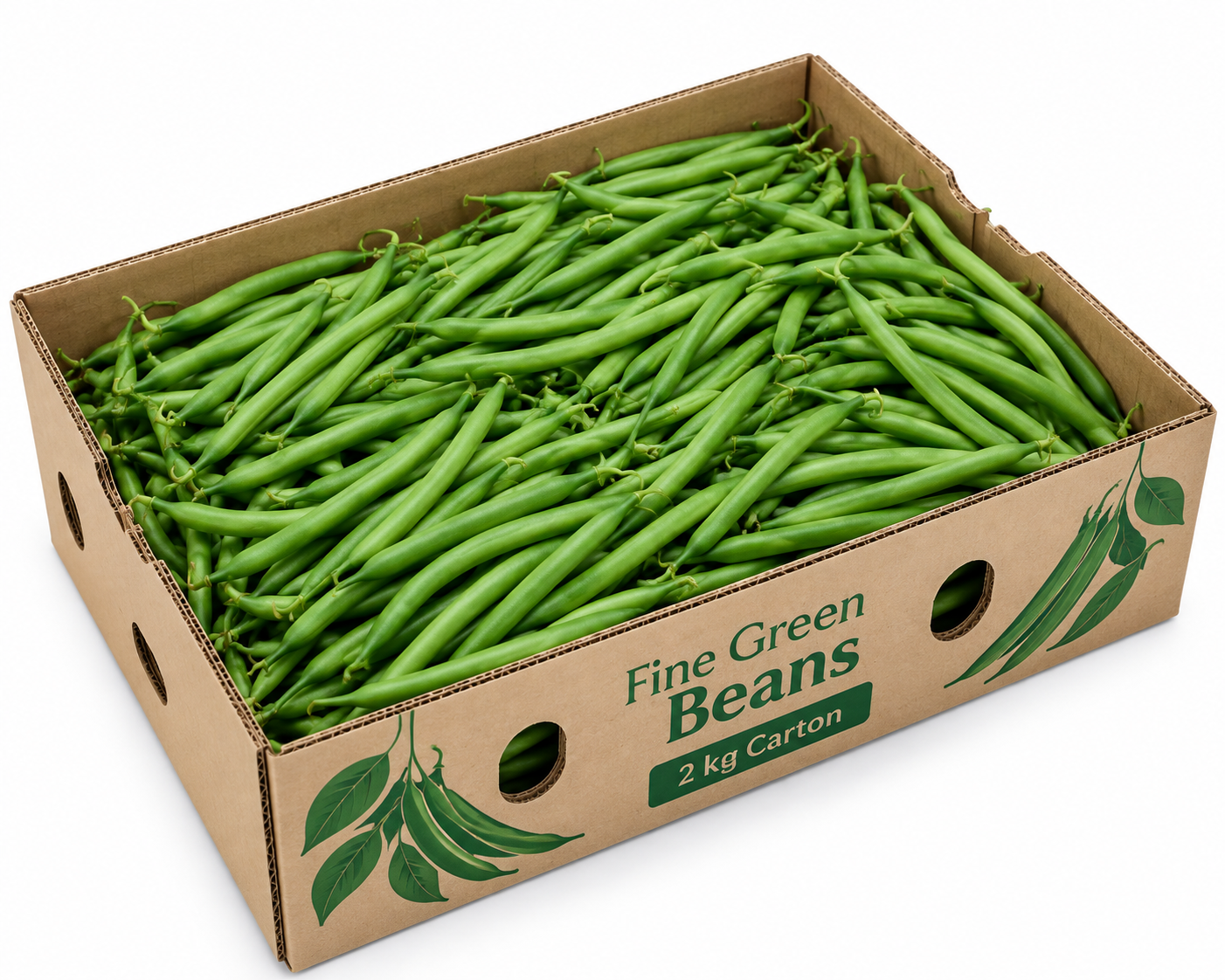 Fine Green Beans