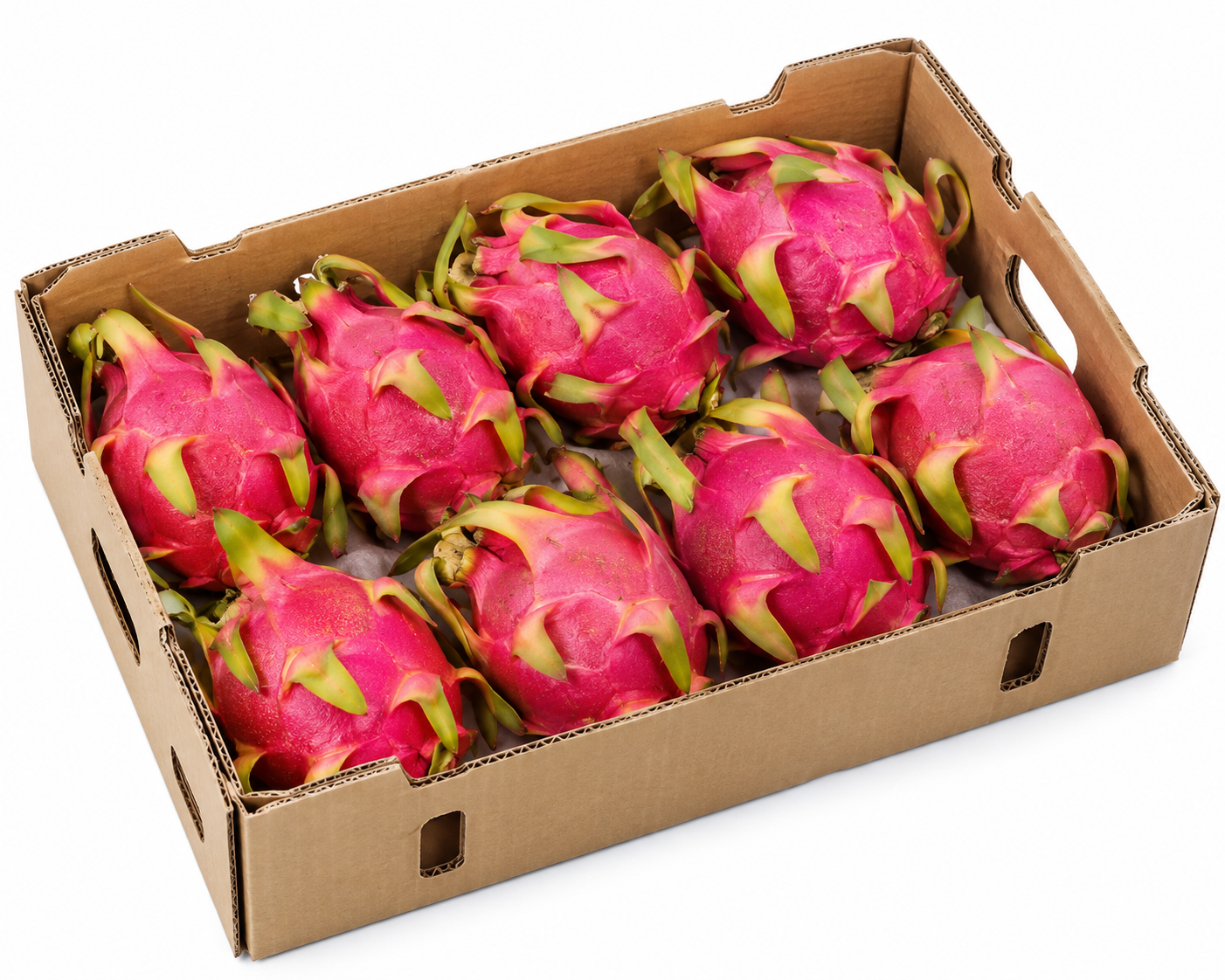 Dragon Fruits