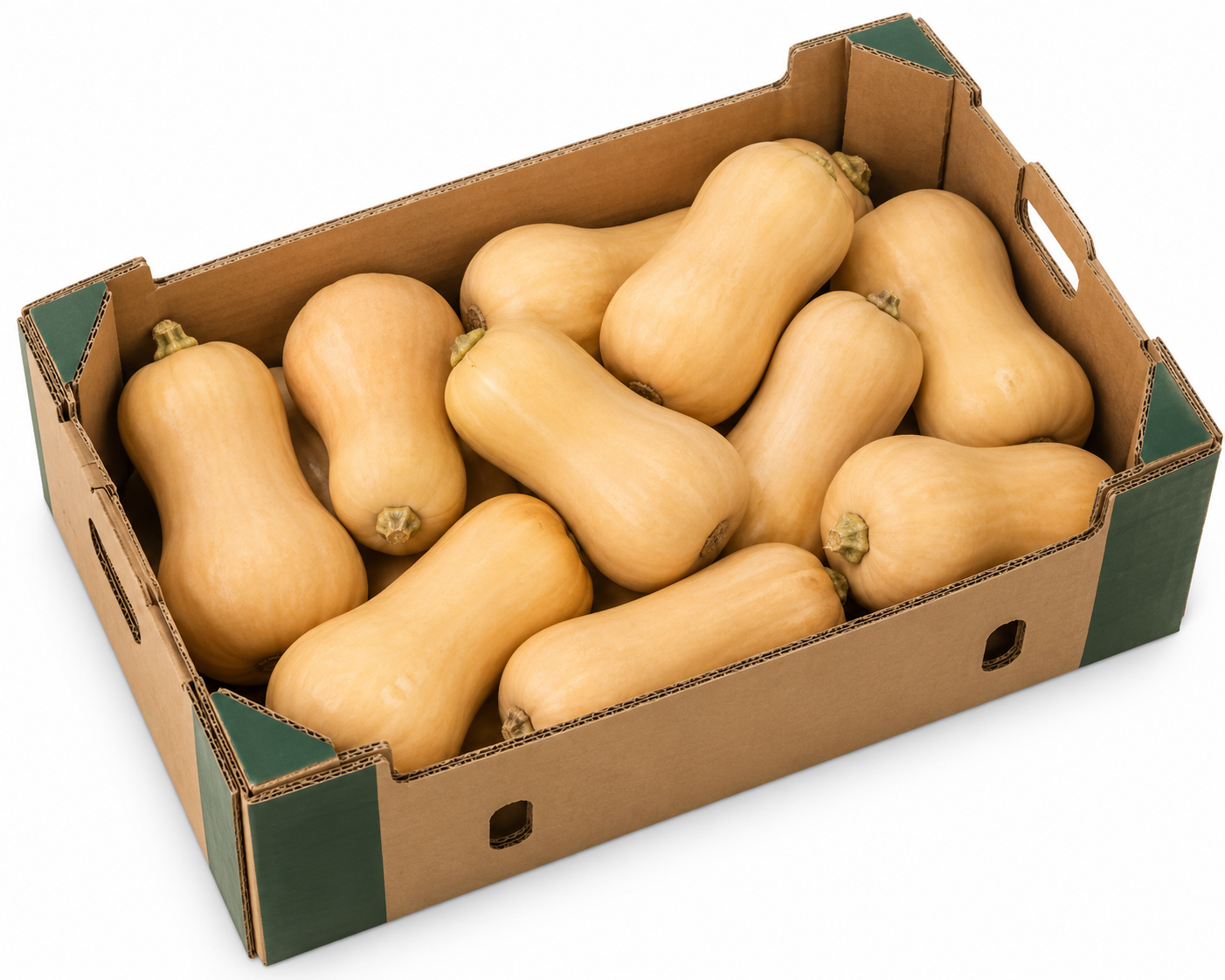 Butternuts