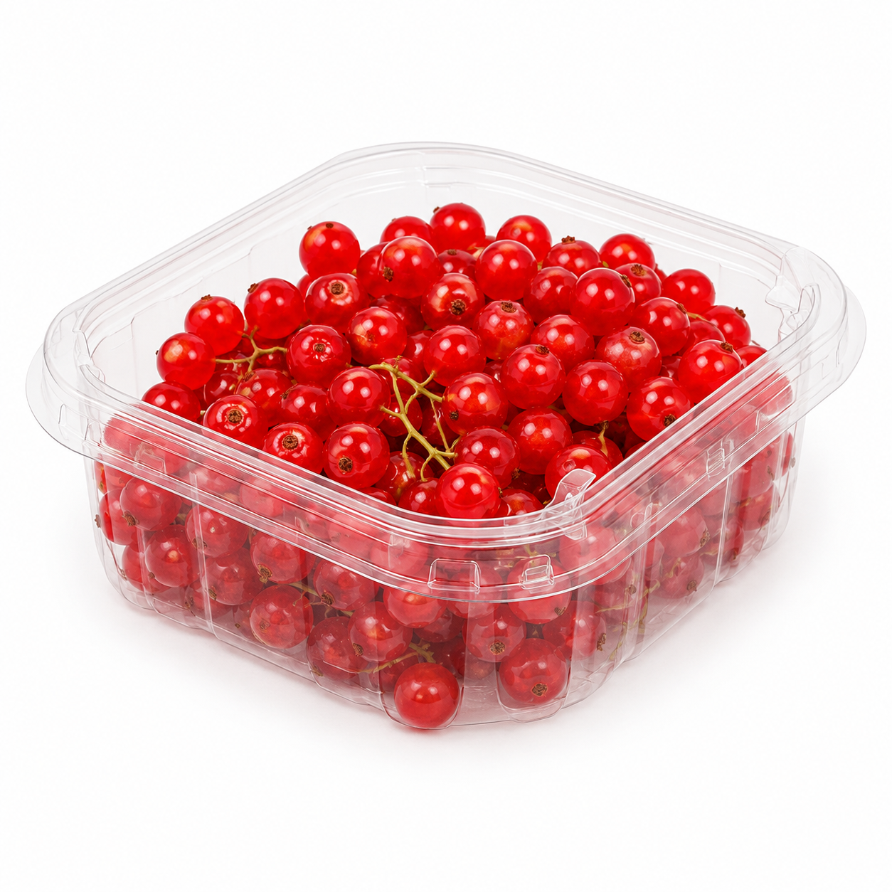 Red Currants Netherland