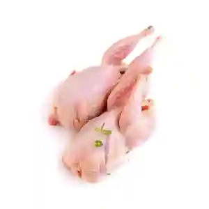 Fresh Pigeon 2 Pec
