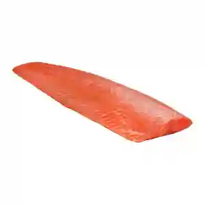 Fresh Salmon Fillet