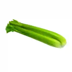 Celery Australia