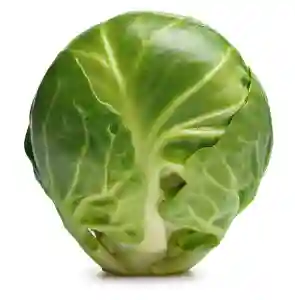 Brussel Sprouts