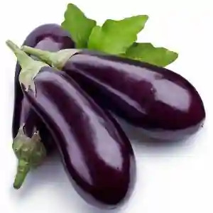 Organic Eggplants