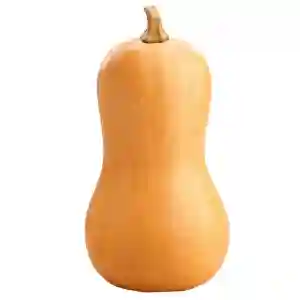 Organic Butternut Squash Spain
