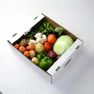 BOG- Asian Fresh Veggie Box