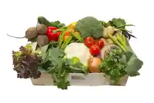 Vegetable Fresh Box