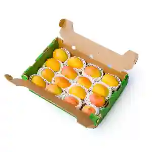 Mangoes Plum Thailand