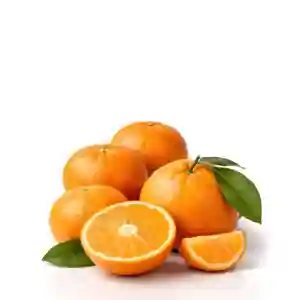 Organic Clementines with Leaves Spain