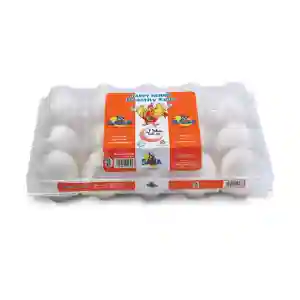 Jenan Large Grade A White Eggs
