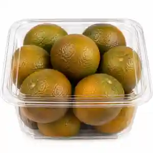 BOG- Chocolate Orange Fresh
