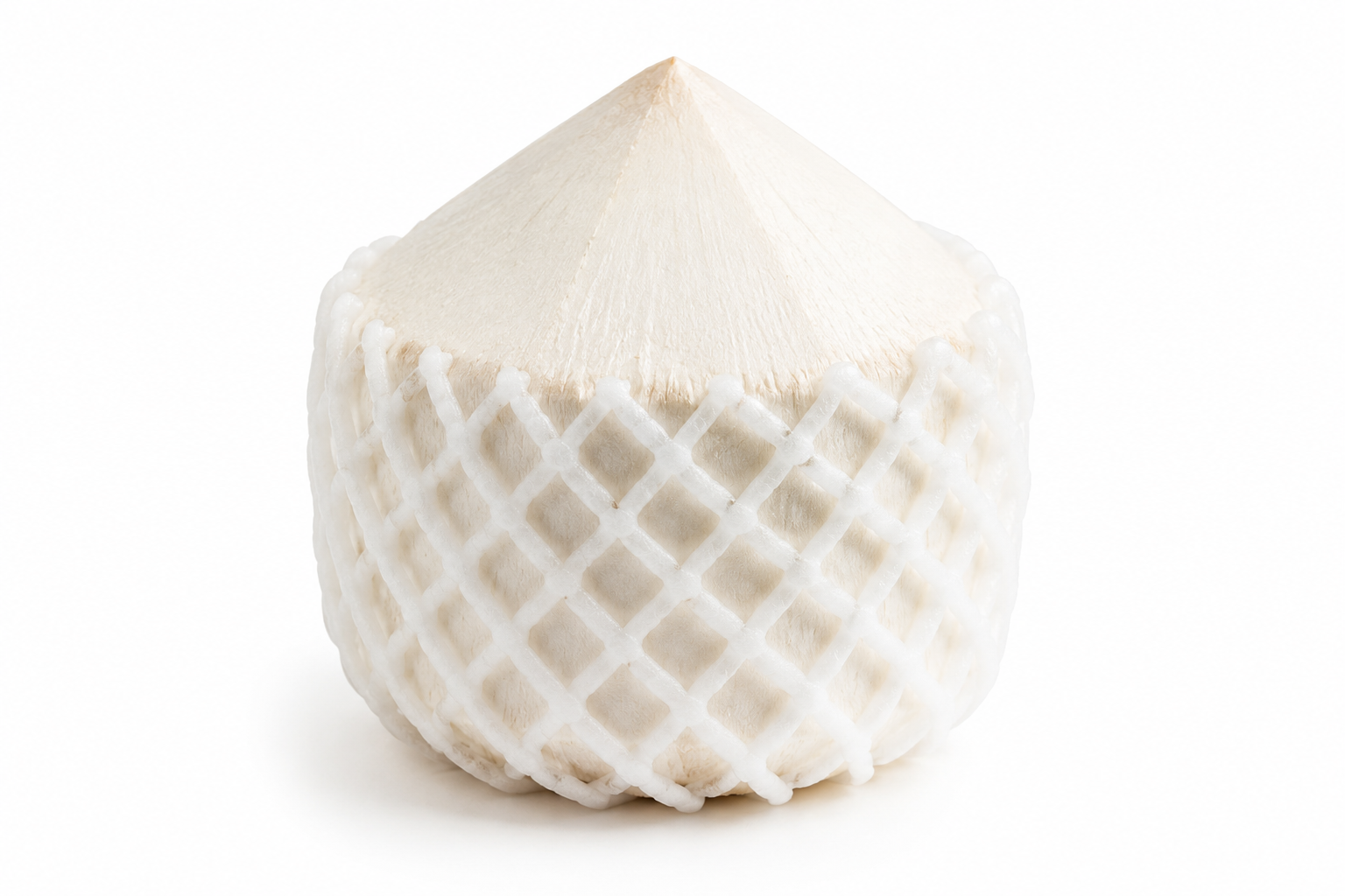 Young Tender Coconut Vietnam