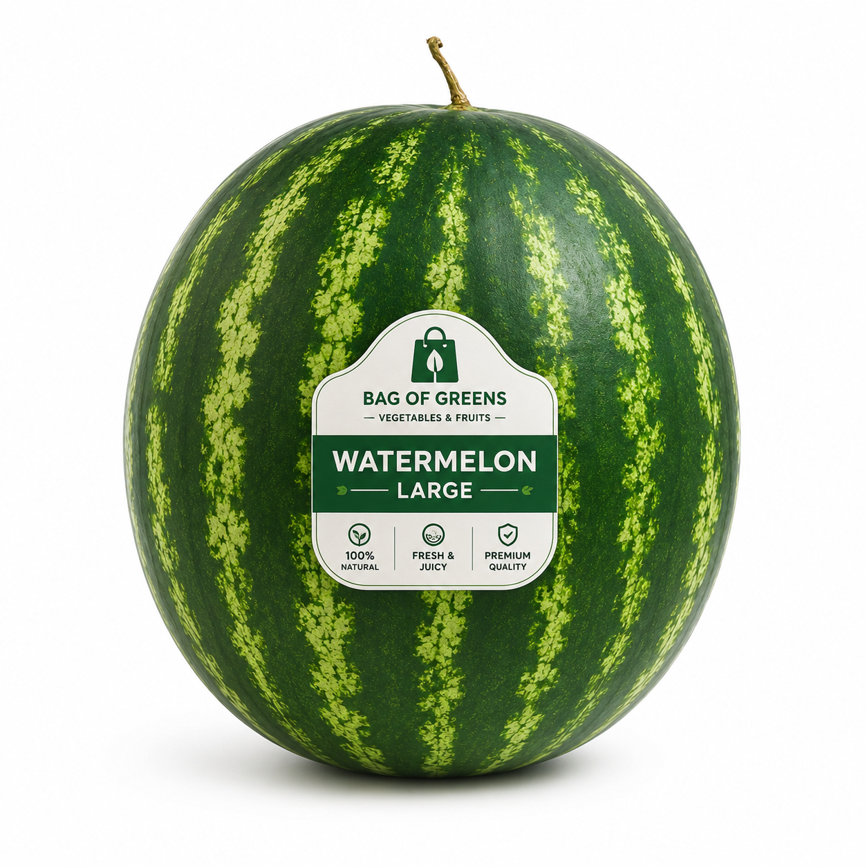 Watermelon Large