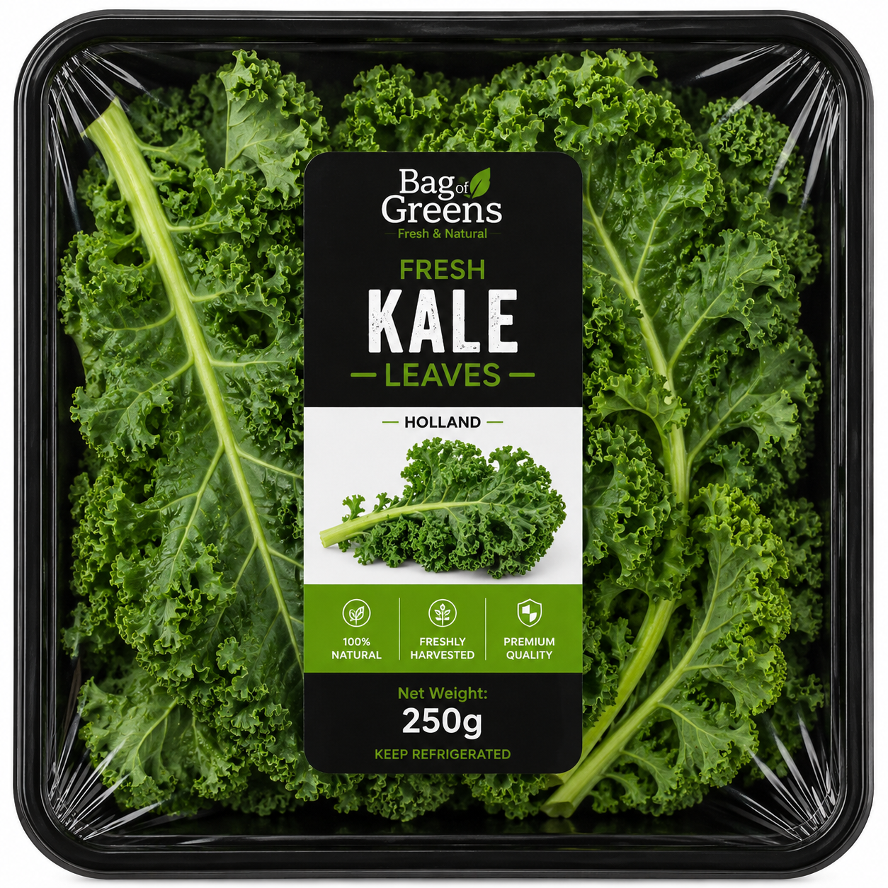 Kale Leaves