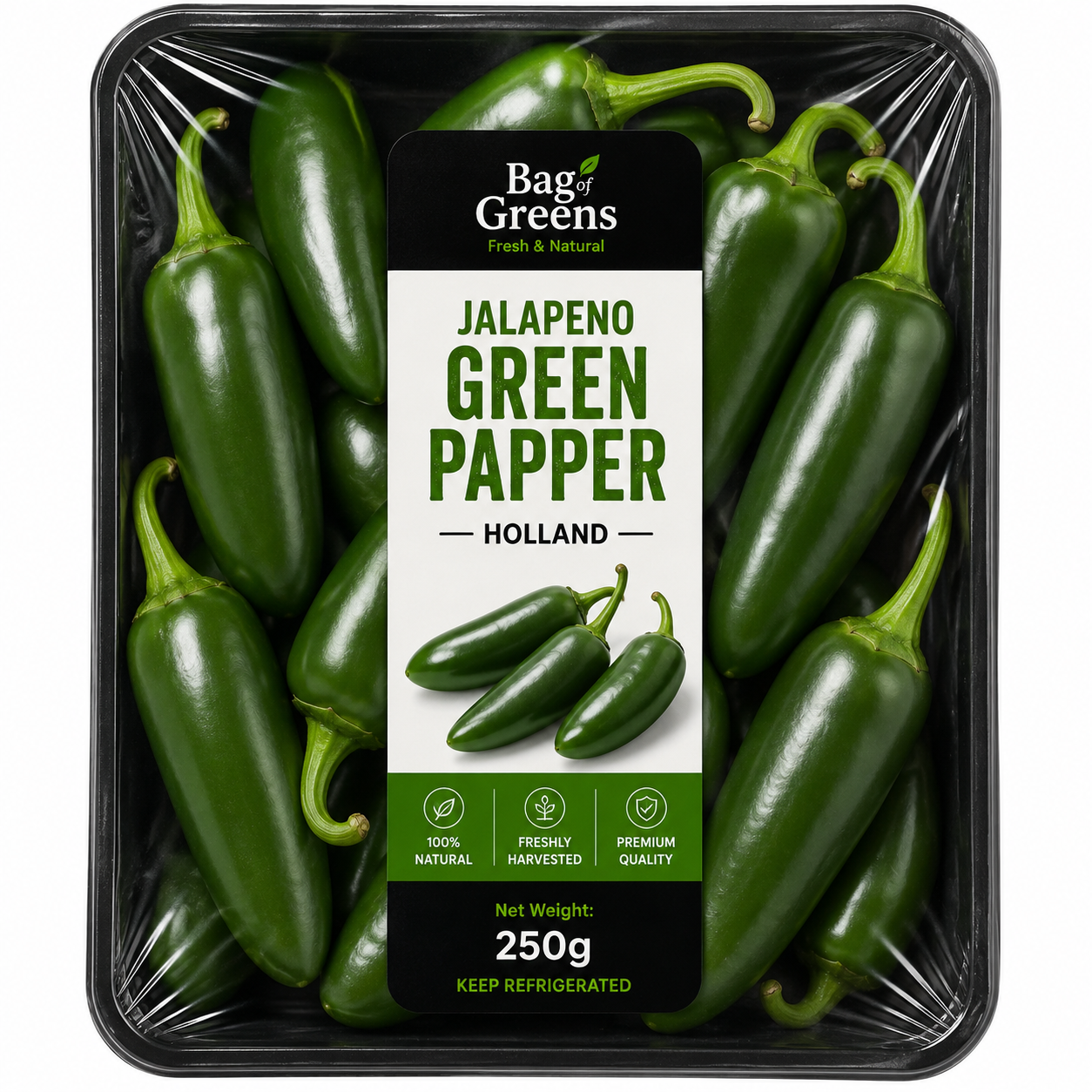 Jalapeno Green Papper