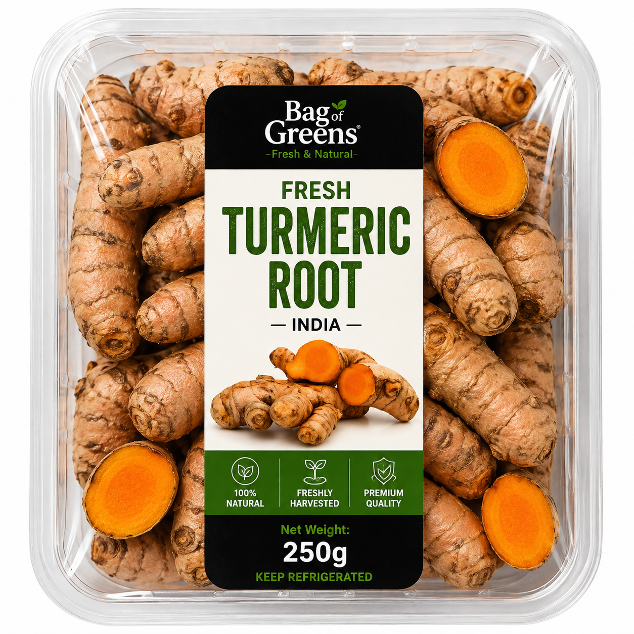 Fresh Turmeric Root