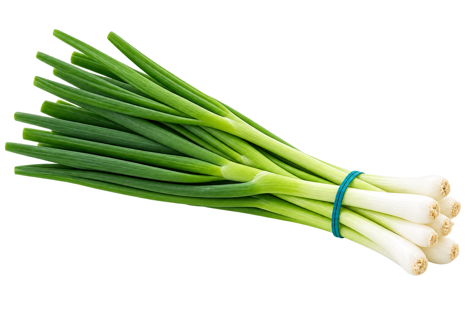 Spring Onion